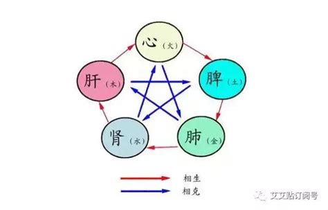 宥五行屬什麼|為何要平衡五行？玄學解密